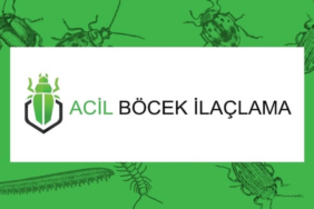 Profesyonel Böcek İlaçlama Hizmeti